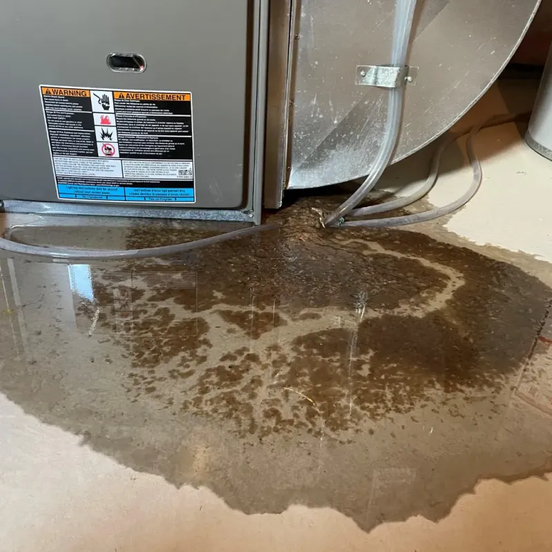 Appliance Leak Cleanup in Gladwin, MI